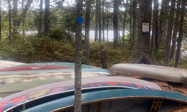 Blue diamond markers on trees at remote ponds on Cold Stream Public Land mark the twenty-five foot boundary behind which boats must be stored.