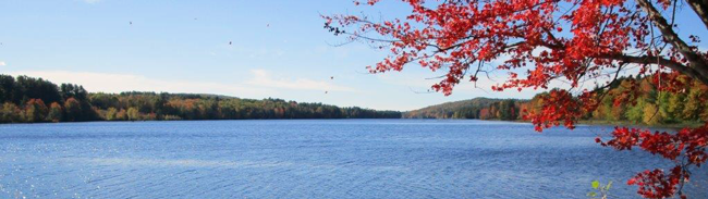 Androscoggin Riverlands ablaze in fall colors along the Androscoggin River. Carol DiBello photo.