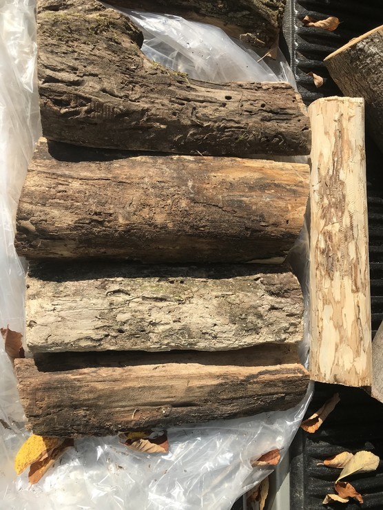 Image: Firewood surrendered from Vermont