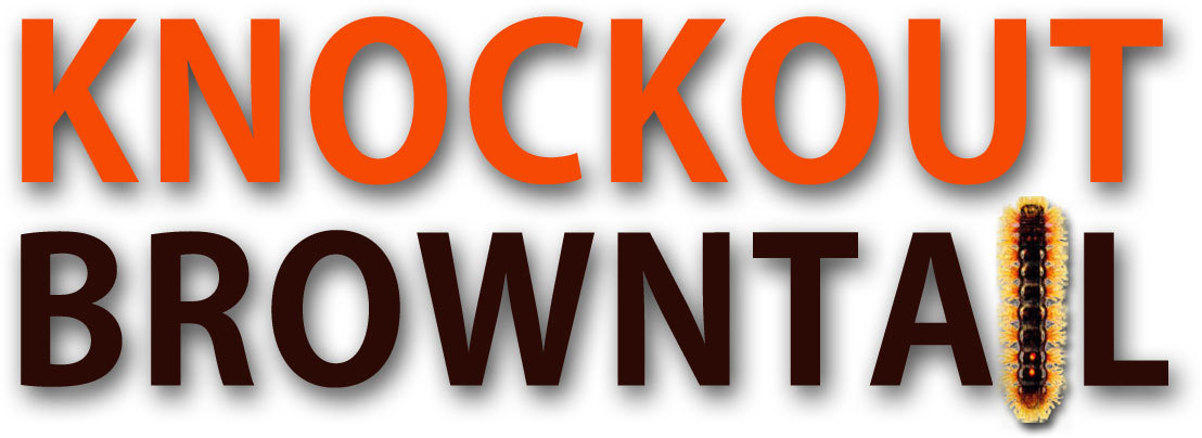 browntail knockout logo
