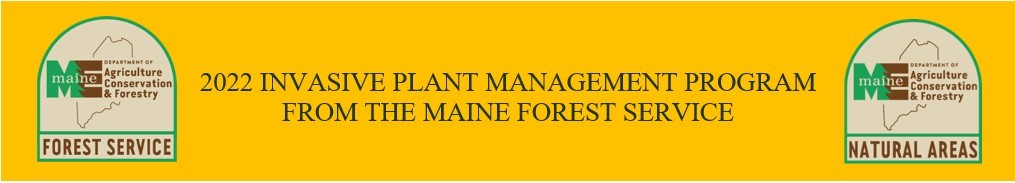 2022 INVASIVE PLANT MANAGEMENT PROGRAM FROM THE MAINE FOREST SERVICE