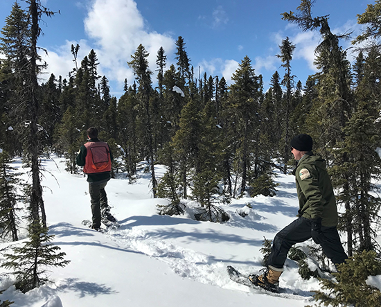 Forester Andrew Wilcox and Deputy Director Bill Patterson at Hamlin Public Land - snowshoeing through deep snow in the woods.