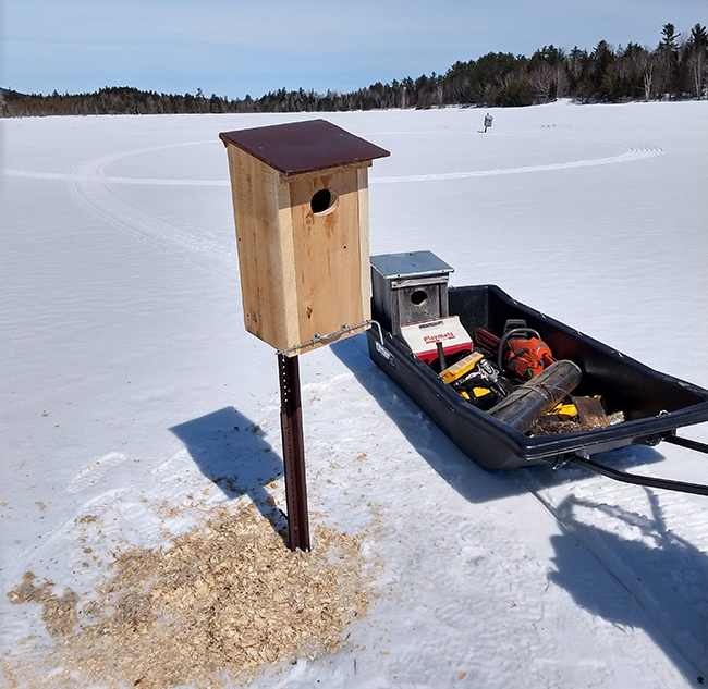 Wood duck box on a fence post. Sled with tools and supplies for readying the box for spring beside it. Jeff Bartley photo.