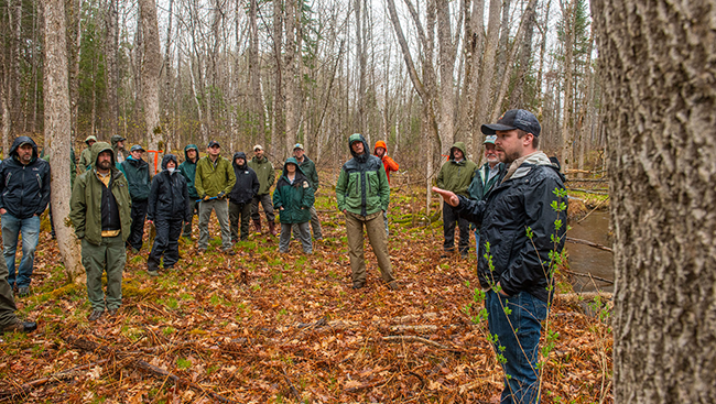 BPL Public Lands staff attending a UMaine field session on Brown Ash. Photo courtesy of the University of Maine.