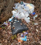 Trash left by visitors, spilling out of trash bags torn by wildlife.