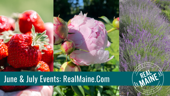 Image of strawberry, peony, lavender