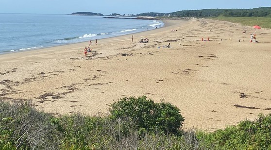 Maine beach showing a long stretch of sand, the ocean and beachgoers.