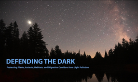 Defending the Dark, a film by Tara Roberts Zabriskie.