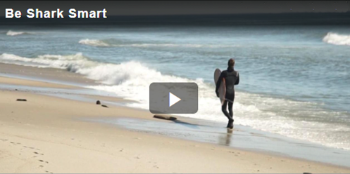 Be Shark Smart video start page.