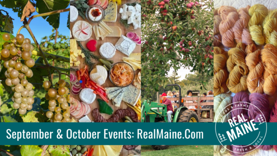 Image of Maine grapes at Boothby Vineyard, Maine Cheeses, McDougal's Apple Orchard, and naturally dyed yarn from Jude Hsiang