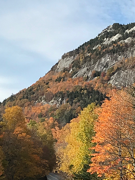 Fall foliage on a rocky mountainside in Maine. Photo by Jocelyn Hubbell.