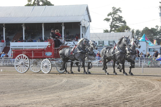 Fryeburg Fair