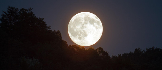 Full moon above trees.