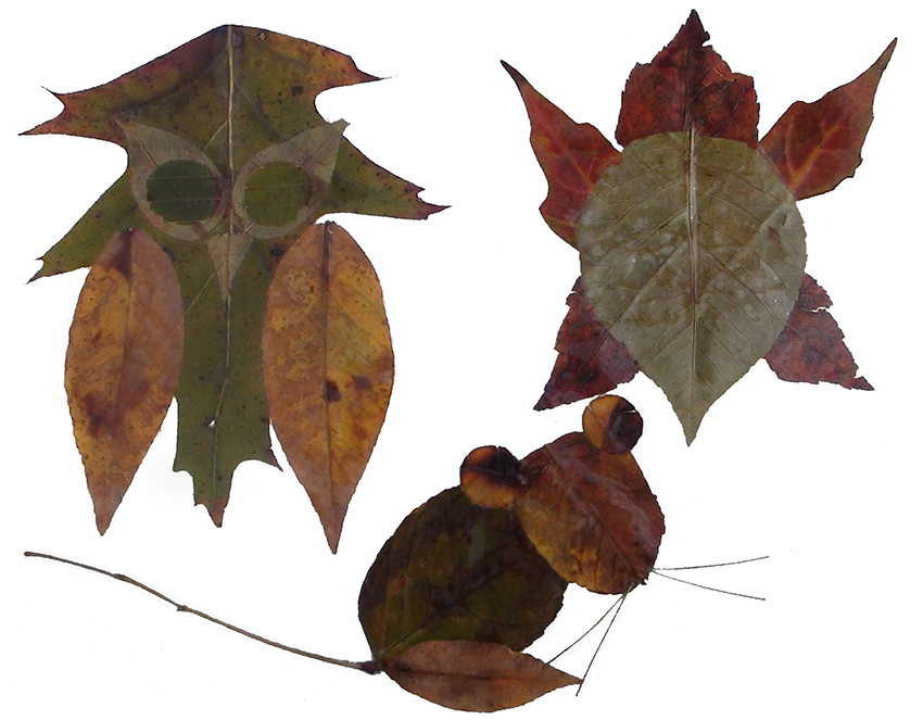 Autumn leaves collages - an owl, a turtle, and a mouse.