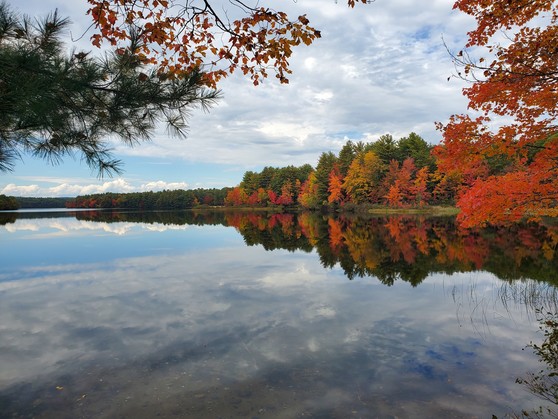 Photo Courtesy of David Fontaine. October 7, 2022. Range Pond State Park.