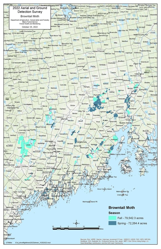 Map of Maine showing areas with browntail moth infestation
