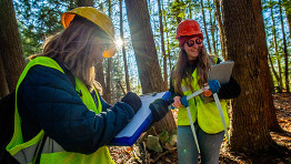 umaine