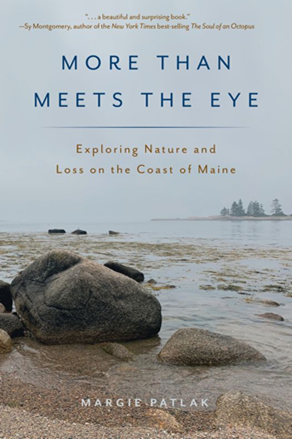 Book cover of More Than Meets the Eye Exploring Nature and Loss on the Coast of Maine by Margie Patlak.