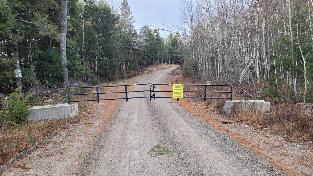 Portable gate