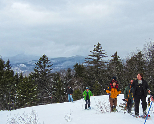 A group snowshoeing into a clearing with a woodland and mountain range behind them.