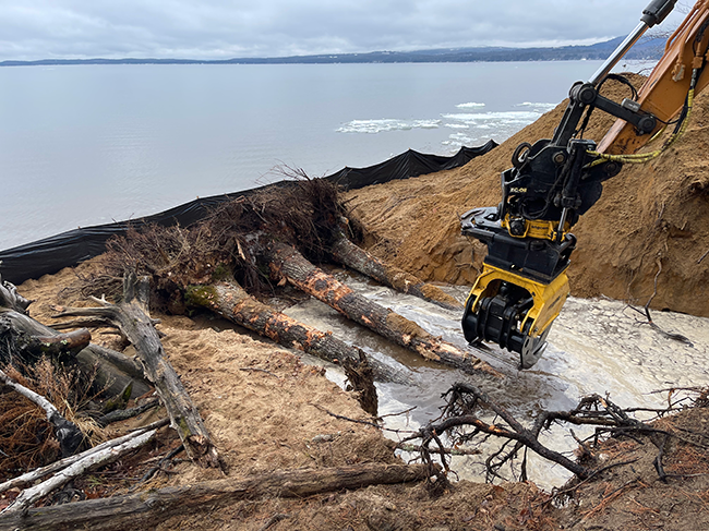 Large tree trunks with their root wads attached being placed as part of shoreline restoration at Sebago Lake State Park.
