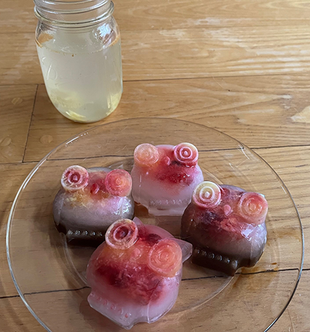 Canning jar of homemade ginger tea and a plate of fruit flavored ice in the shape of four owls.
