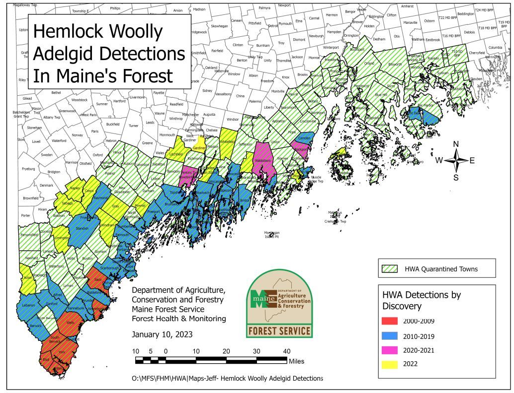 Towns with detections of hemlock woolly adelgid in the forest in Maine.