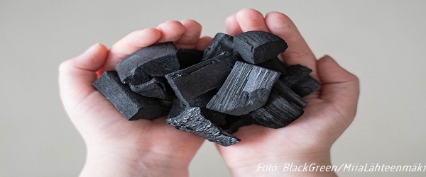 Opportunities of Biochar Collaboration