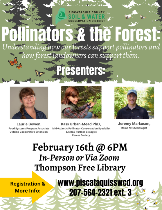 Pollinators & the Forest in Piscataquis County