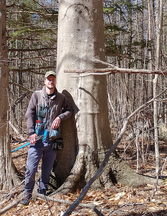 Photo of Nick McDougal, Forester in the Western Region Public Lands, Maine Bureau of Parks and Lands.