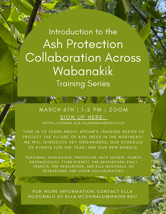 Introduction to the Ash Protection Collaboration Across Wabanakik Training Series flyer.
