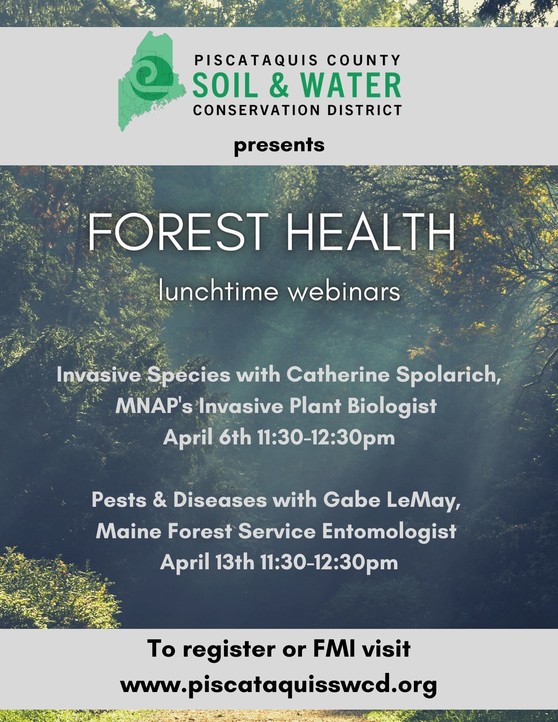 Forest Health webinars