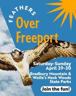 Feathers Over Freeport - April 29 & 30, 2023.