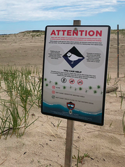 Sign asking beach goers to help protect nesting plovers by staying off the dunes where the birds nest.