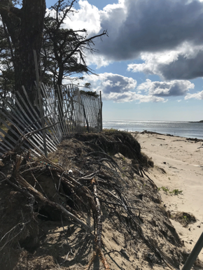 Dune erosion at Popham Beach State Park. Winter storms and rising seas have taken their toll on Popham beach. 