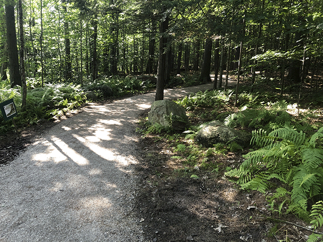 Loon Echo Land Trust trail project at Pondicherry Park in Bridgeton supported with Recreational Trail Program (RTP) funds.