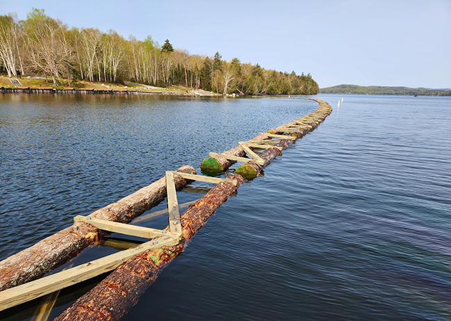 New 400’ long wave attenuator at the boat ramp at Rangeley Lake State Park.