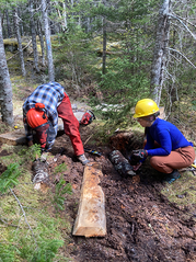 Maine Conservation Corps Team Leaders beginning installion bog bridging.