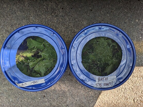 Top view of two buckets containing leaves and twigs