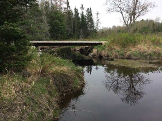 Wooden haul road bridge crossing a stream