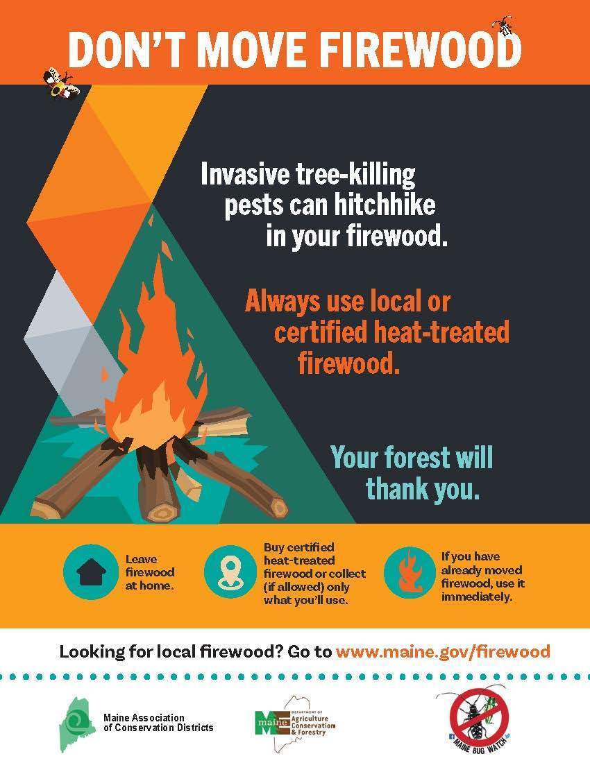 Don't Move Firewood poster