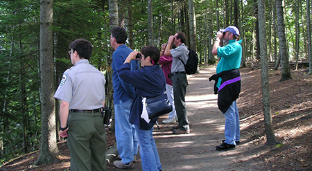 Birdwatchers at Wolfe's Neck Woods State Park.