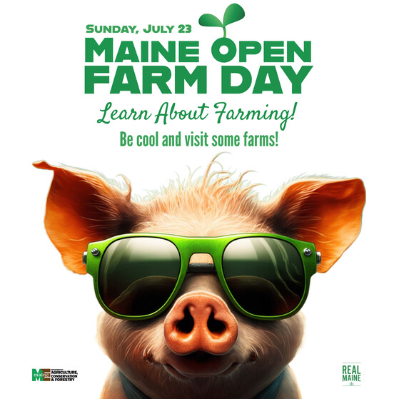 Be cool and visit some Maine farms on Open Farm Day Sun July 23