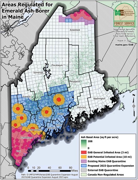 Map of Maine showing areas regulated for emerald ash borer.