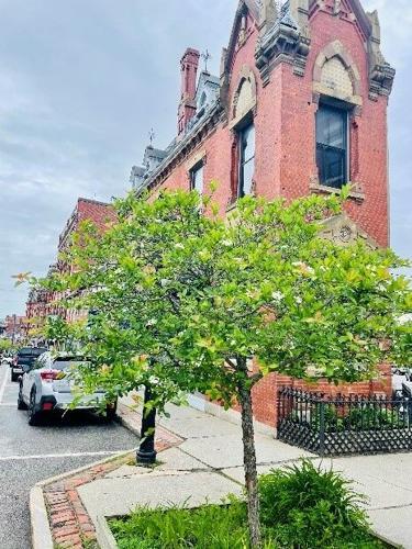 City of Belfast photo