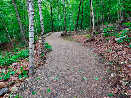 Goat Hill Trail is accessible and built to 5-feet wide throughout.