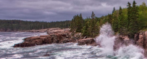 Acadia National Park photo. Rocky seashore.