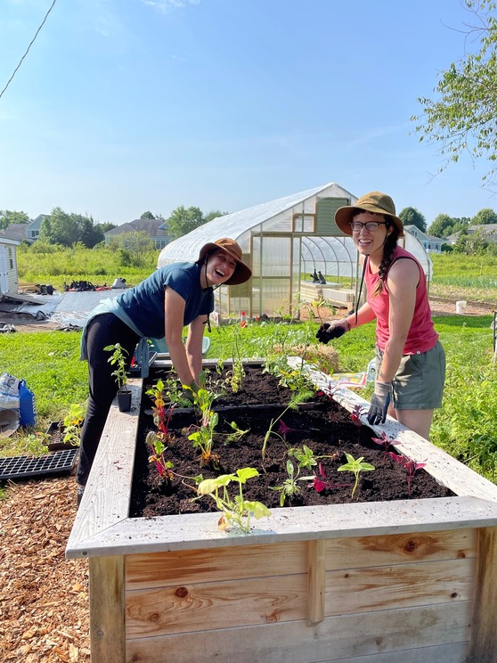 Horticulture Apprentices at work on a Farm