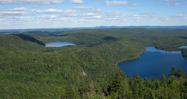 Aerial image of Deboullie Public Land.