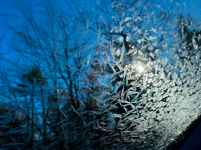 Two frost patterns on a windshield: stem-like or needle-like and star-like or snowflake pattern.